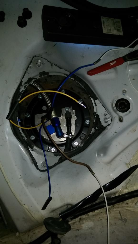 [Image: IMAG0381_zps6871558a.jpg]