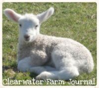 Clearwater Farm Journal