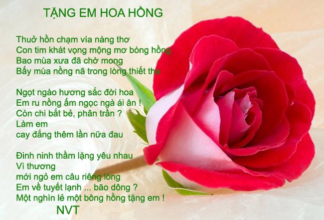 http://i1295.photobucket.com/albums/b626/vuthugiang1/canhhongcopyjpg90_zps99920390.jpg http://i1295.photobucket.com/albums/b626/vuthugiang1/canhhongcopyjpg90_zps99920390.jpg