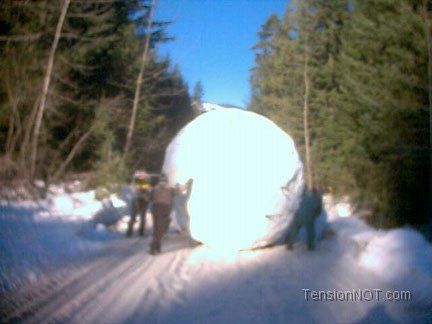 Giant-Snowball_zps208e19de.jpg