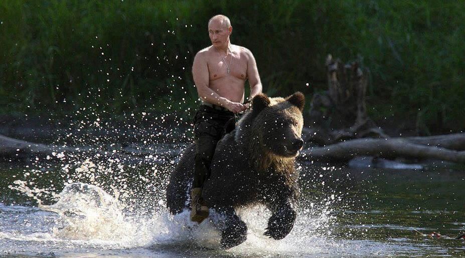 http://i1295.photobucket.com/albums/b633/ALTFEED/Putin-rides-a-bear_zps7104bc21.jpg