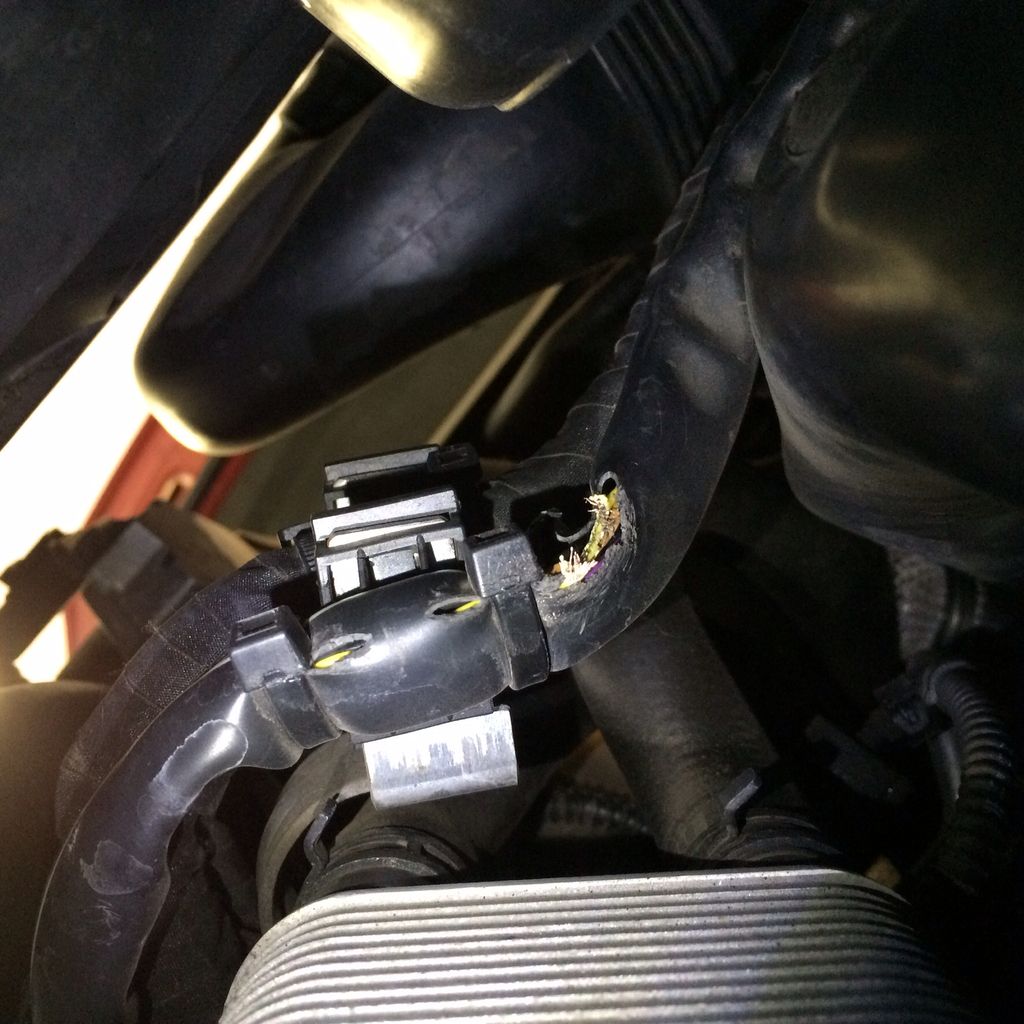 '09 Jetta Intake Air Temp Sensor? Forums