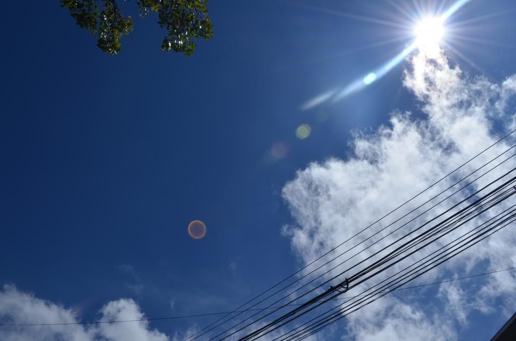 photo 30DSC_0822_zps88e0f698.jpg