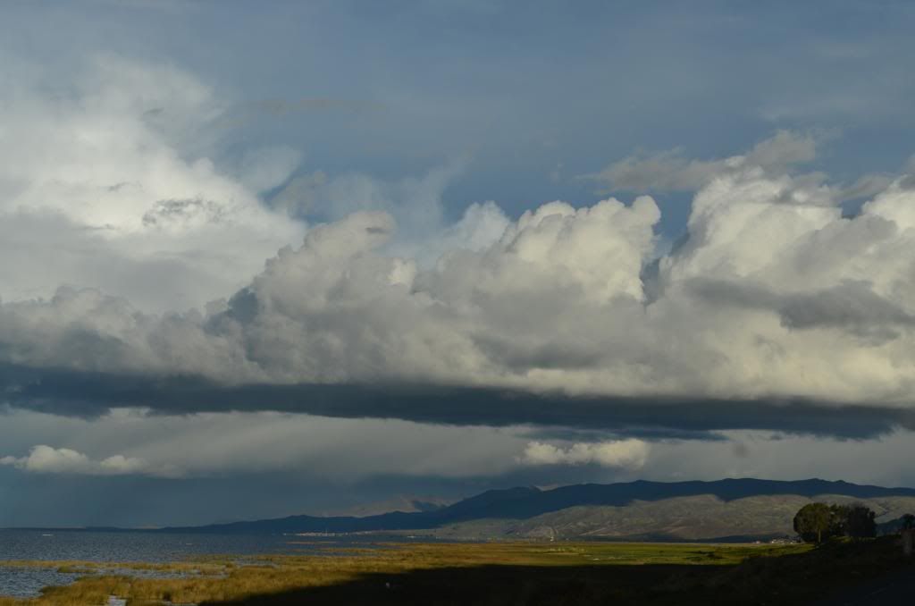 photo DSC_0774copy_zps158c159a.jpg