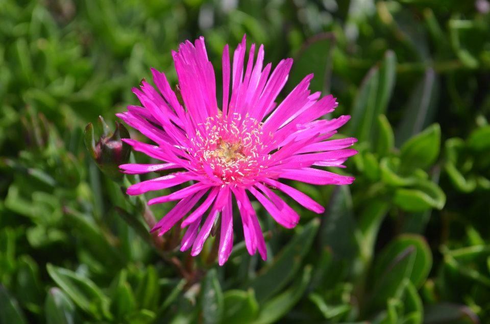 photo 601258_10151547872428899_992961332_n.jpg