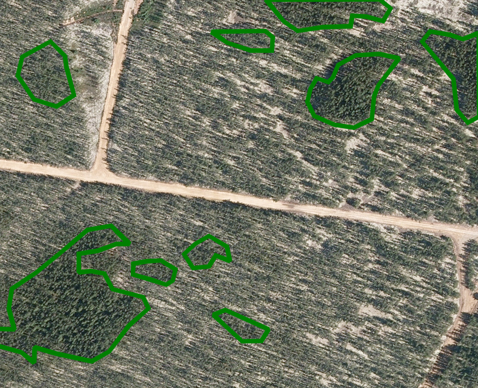 Photographie aérienne illustrant la distribution bimodale de la productivité entre des îlots productifs (entourés en vert) et des landes à Lichens. Photographie aérienne illustrant la distribution bimodale de la productivité entre des îlots productifs (entourés en vert) et des landes à Lichens.
