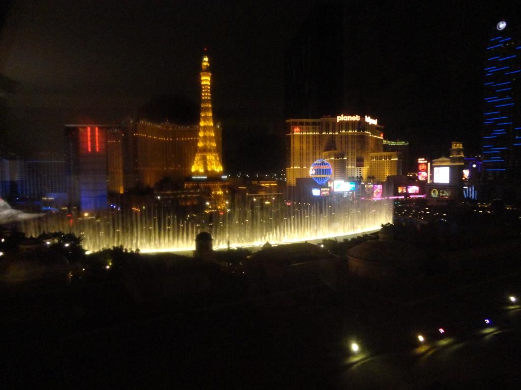 DSC00879_zps7e08b137.jpg