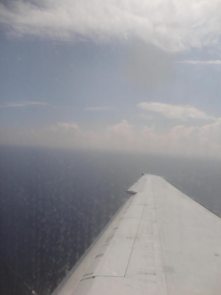 DSC01131_zps92a64ac0.jpg