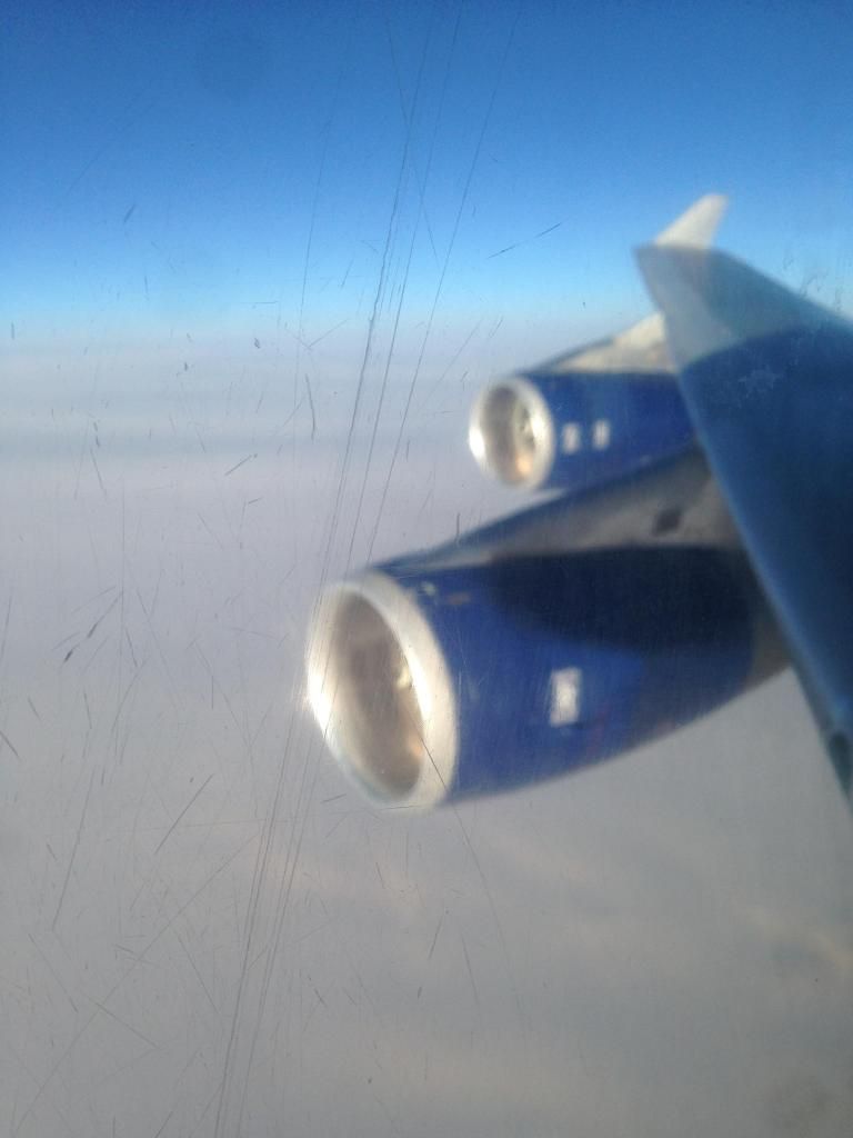 IMG_2101_zps60366b72.jpg