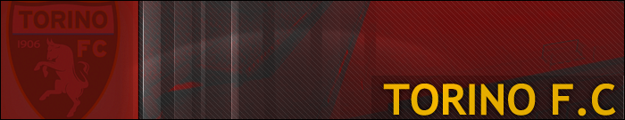 TORINOBANNER1500_zpse7c4dc58.png