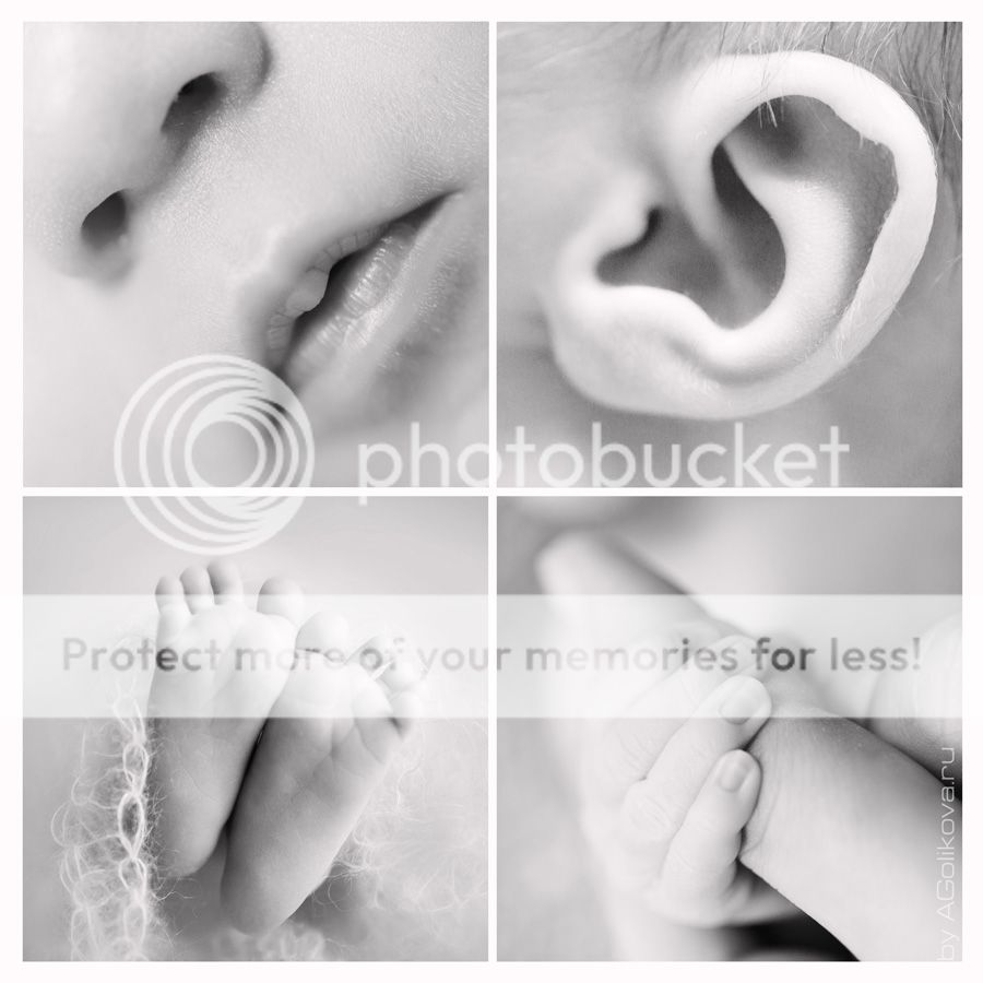 photo 1_1_zps85e2dfa2.jpg