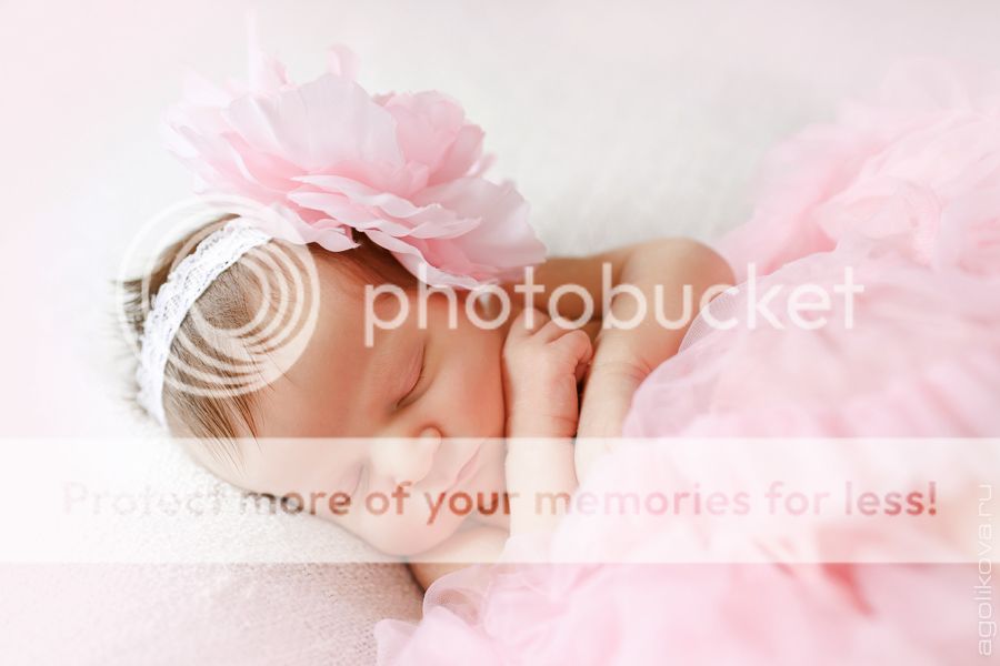  photo KT3A1004_zps77e62b91.jpg