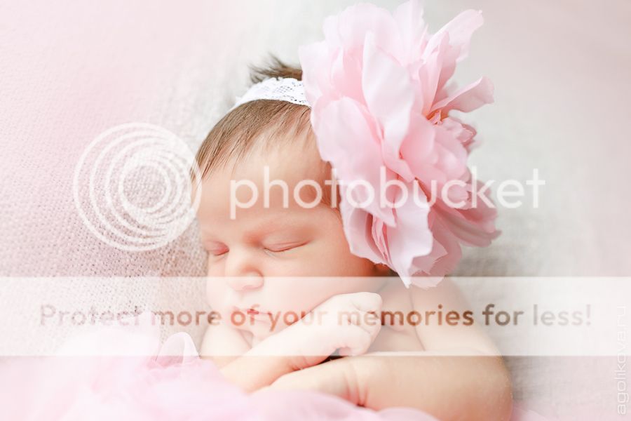  photo KT3A1010_zpsc5e0fb38.jpg