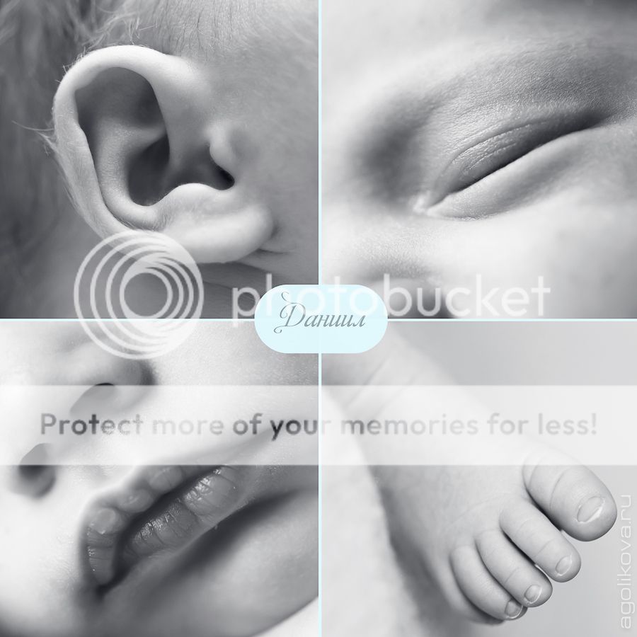 photo KT3A1753_1_zpsc830ae1d.jpg