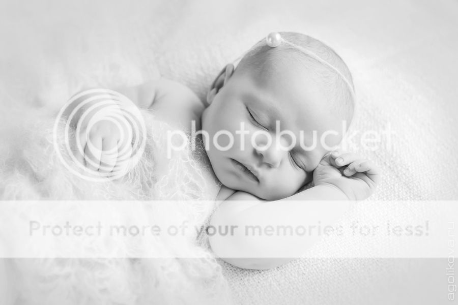  photo KT3A2161_1_zpse99e80dc.jpg