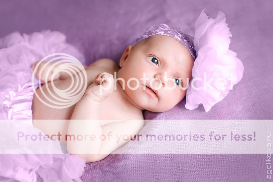  photo KT3A2283_zps5c7faa8d.jpg