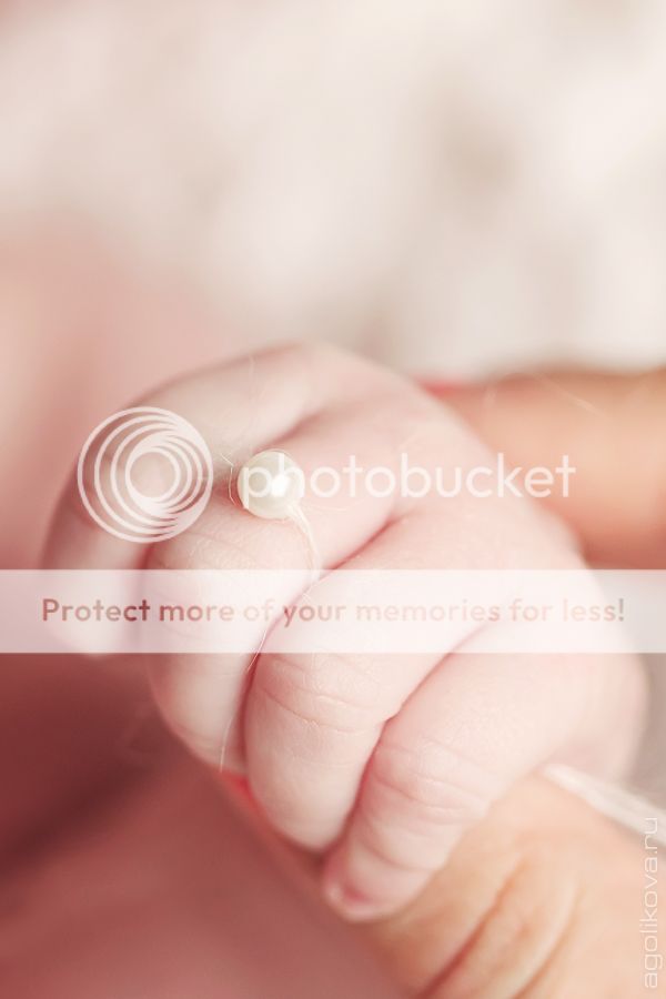 photo KT3A2312_zpsb2d78901.jpg