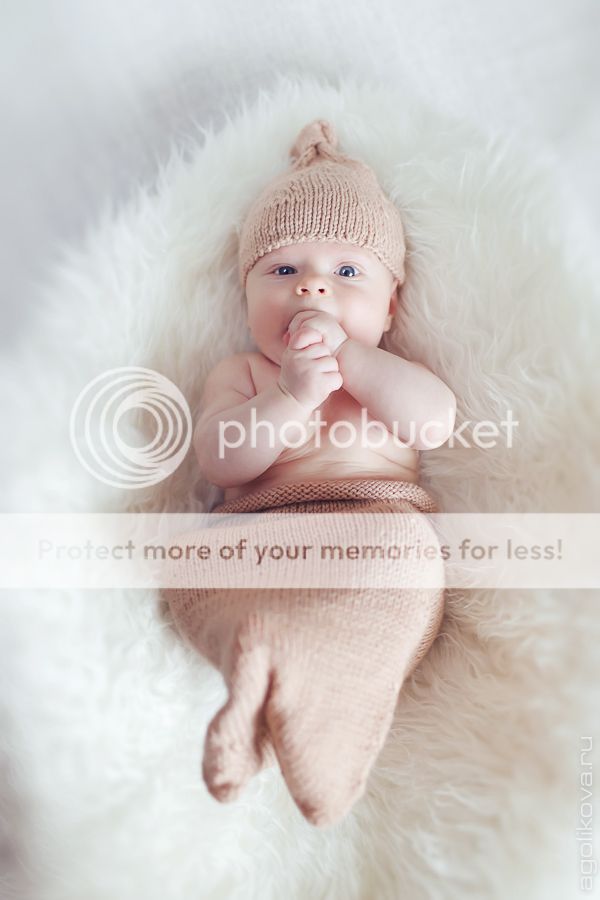 photo KT3A5093_zps14f67502.jpg