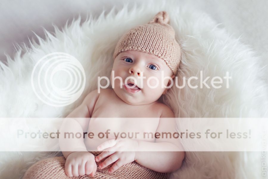 photo KT3A5105_zps1ab09a45.jpg