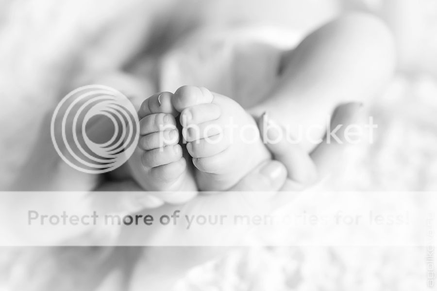 photo KT3A5223_1_zps612a8348.jpg