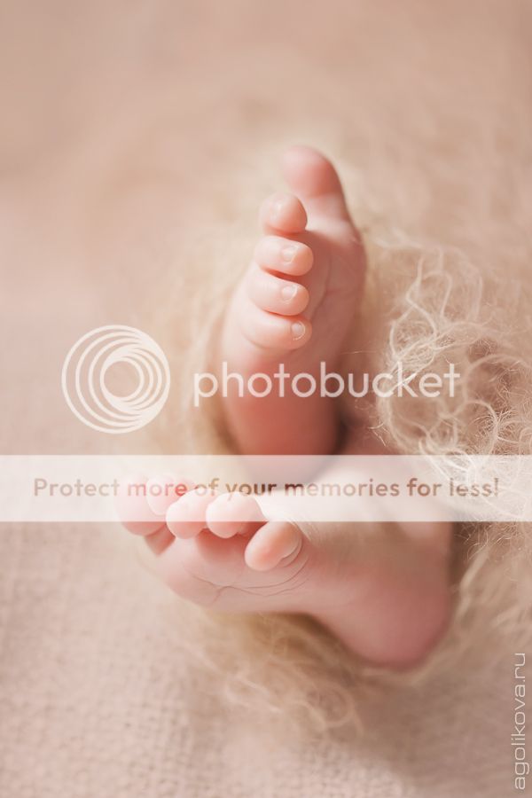 photo KT3A6099_zps7e345b53.jpg