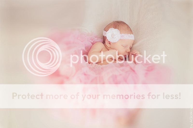  photo KT3A9362_1_zps7aabd5a3.jpg