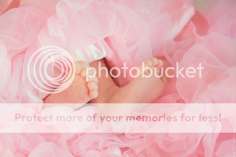  photo KT3A9399_zps0beb8c8d.jpg