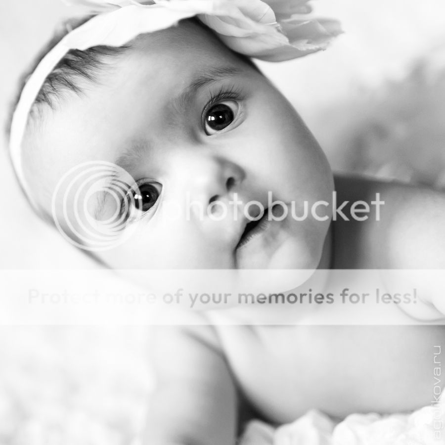 photo KT3A9402_1_zps1535353e.jpg