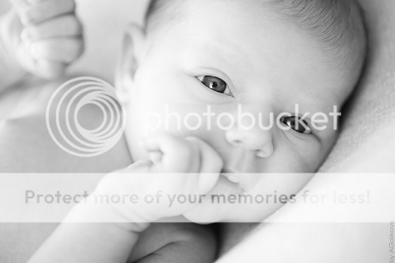  photo KT3A9407_1_zpsd561b6cf.jpg