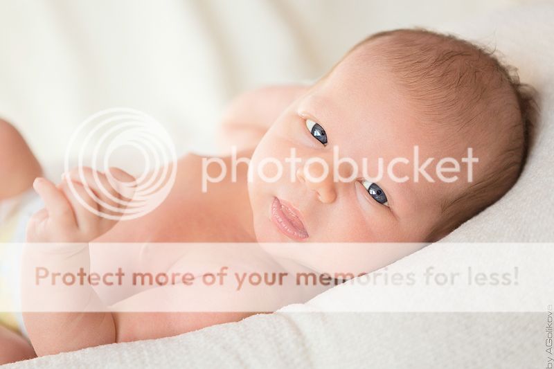  photo KT3A9415_1_zps41584aa1.jpg