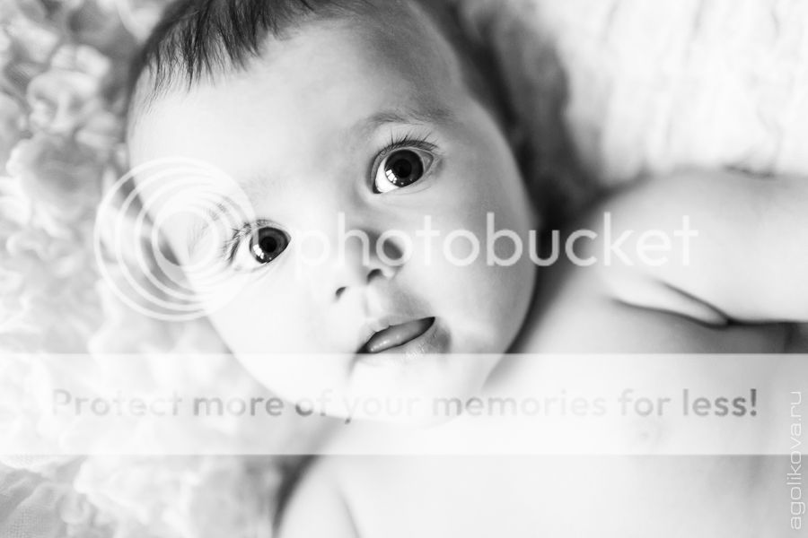 photo KT3A9440_1_zpsf7c44c8d.jpg