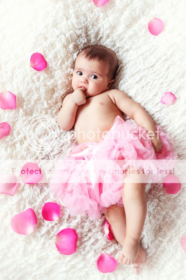 photo KT3A9461_zpsb1bcb35d.jpg