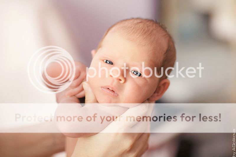  photo KT3A9485_zps94de3595.jpg