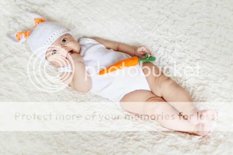 photo KT3A9531_zpsf157bce6.jpg