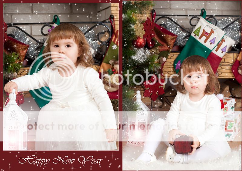 photo WY9I3311_1_zpsab40d2c6.jpg