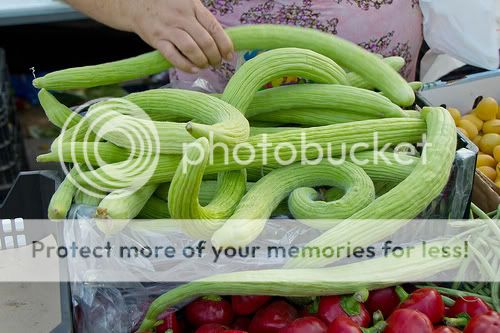 e6b5c8c1c85737ade06c6932d1cd2832_zps84e2