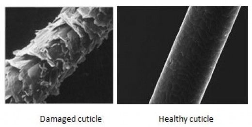 Poreus haar photo Gezond_vs_poreus_haar_zpsppecmuhu.jpg