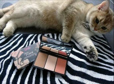 Make-up waarvan ik hoop dat het nooit kapot valt! Honeybear & Sleek Face Form photo Honeybear_sleek_face_form_zpssqpvk4gu.jpg