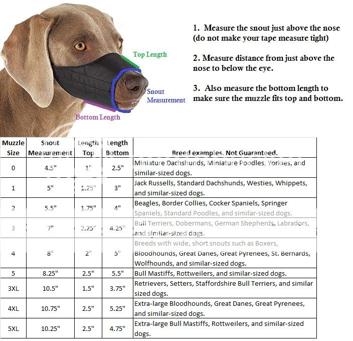 Nylon Dog Muzzle Blue Black Pink Fabric Adjustable Guardian Gear No Bite Bark